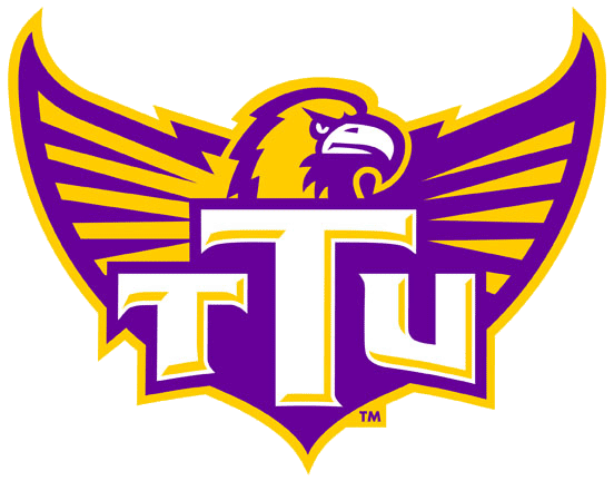Tennessee Tech Golden Eagles 2006-Pres Alternate Logo iron on transfers for fabric
